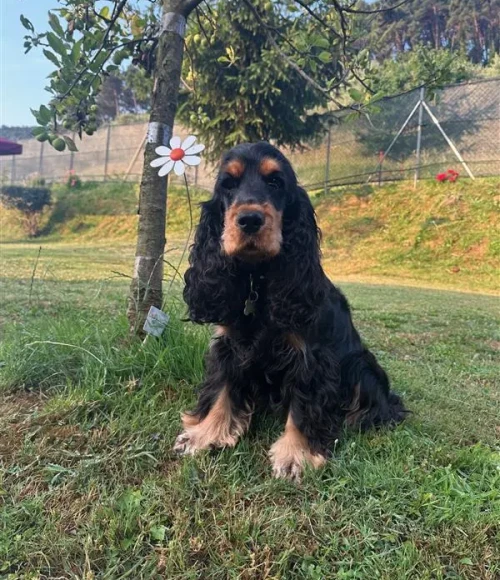 2d2699557d456eec0787e363a2f2c89e5609e76a