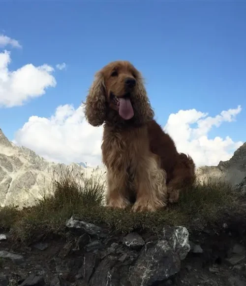 60533bc5d7b526d5f12c6eb9d8711d1275f5075a