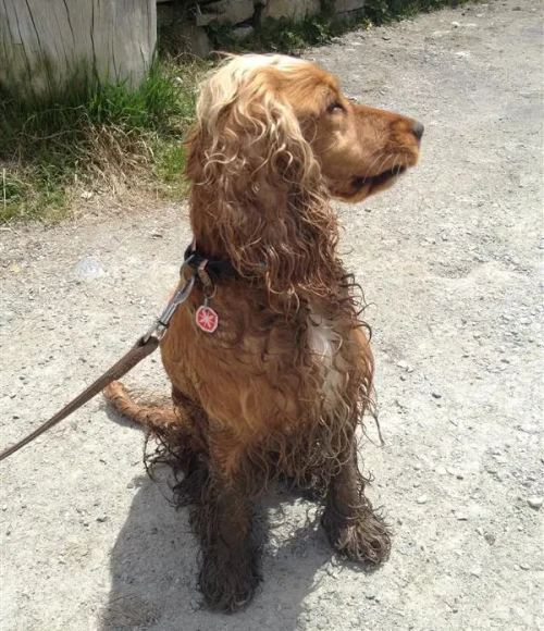 8df8581b275817828acec295cc64077bcab9e2ce