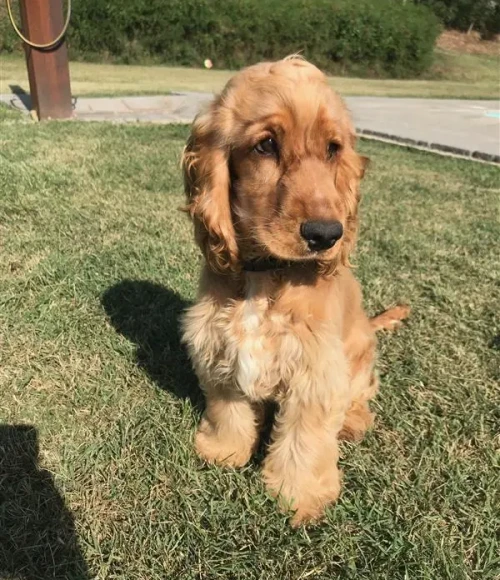 94b186fdac1cc5174be267ba4b7dee1ecaf0b602