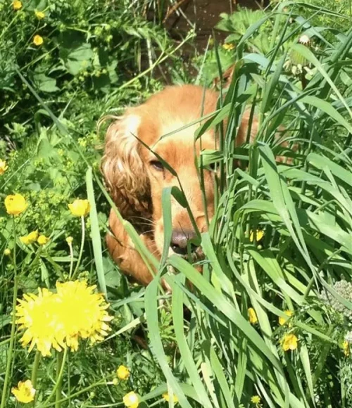 d6f1f85455e9c368414e05eb1821381189f9ede9